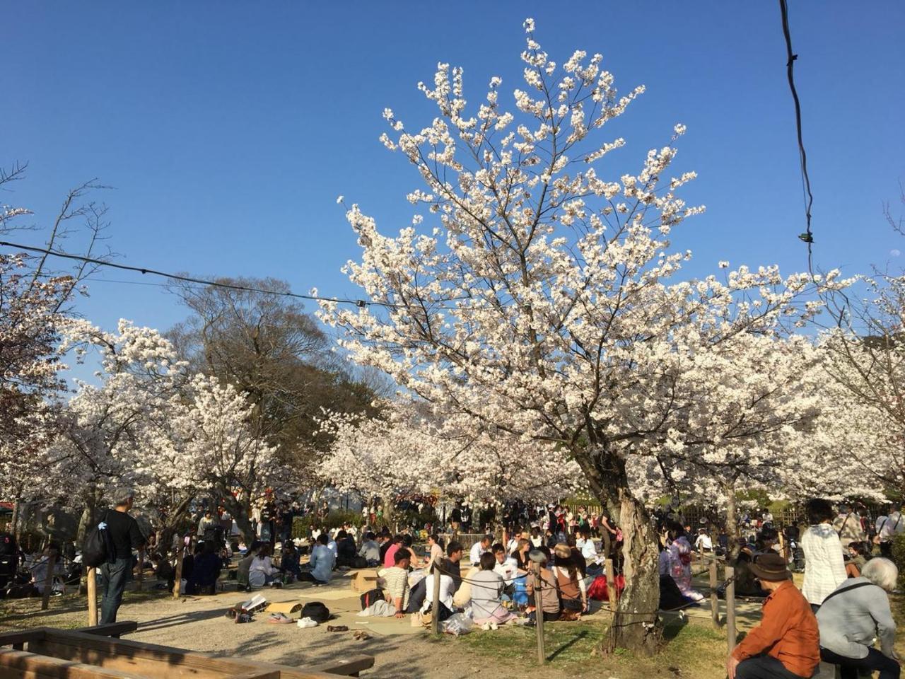 美築八坂 Lägenhet Kyoto Exteriör bild