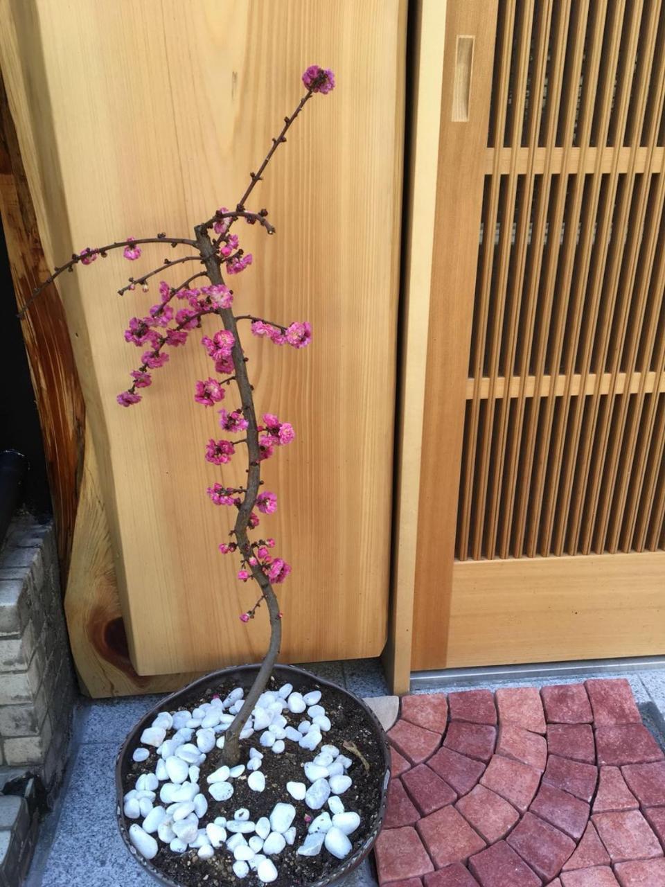 美築八坂 Lägenhet Kyoto Exteriör bild